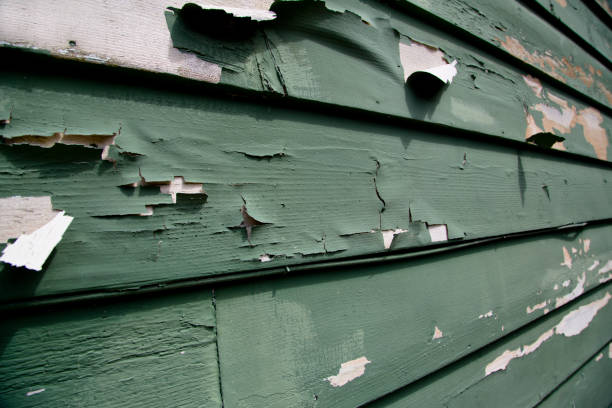 Best Commercial Junk Removal  in Lake Leann, MI